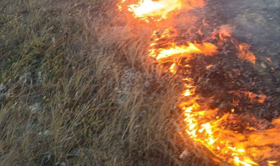 В Апшеронском районе бушует лесной пожар